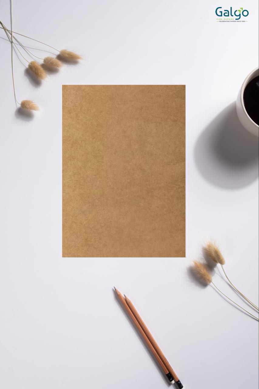 WhatsApp Image 2025-09-19 at 16.10